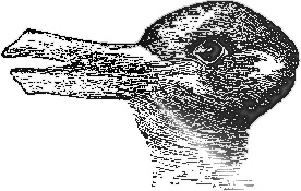 duck/rabbit illusion